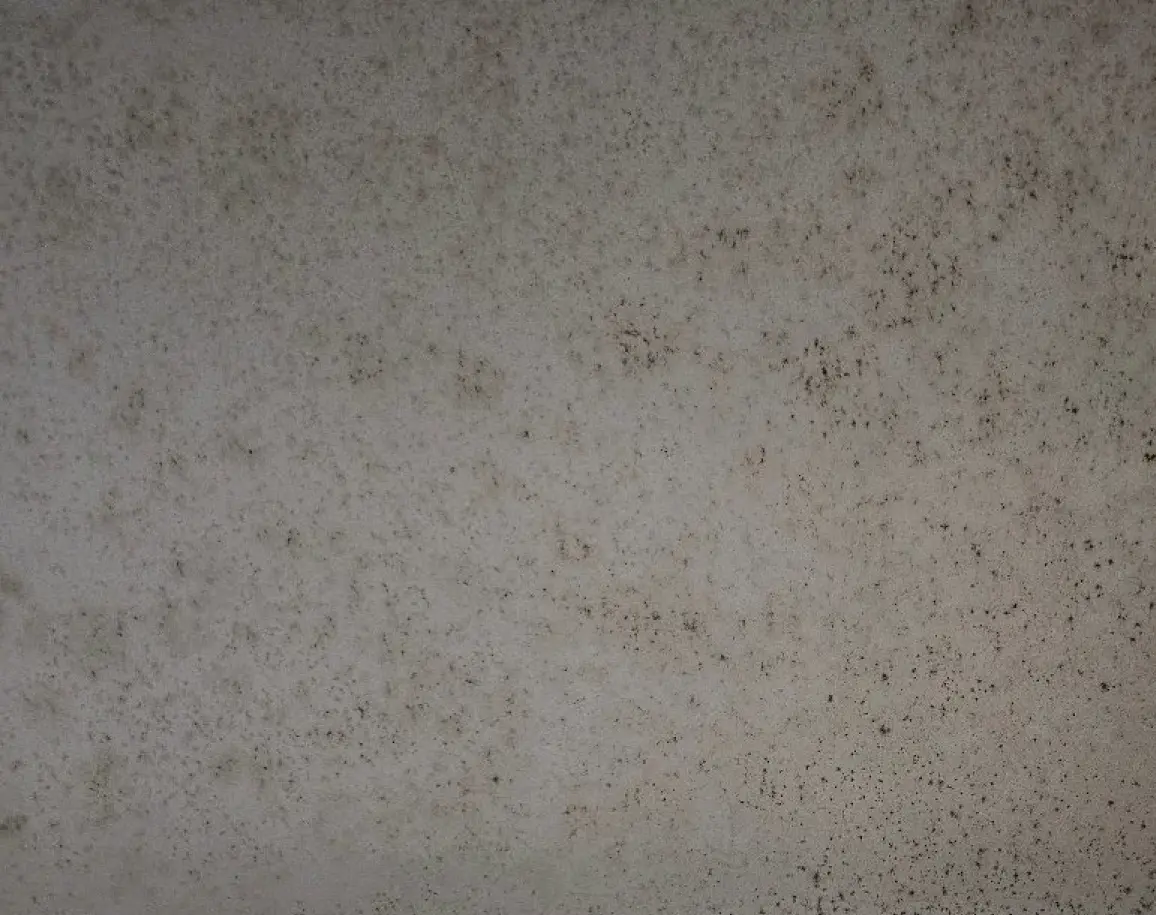 Mold growth inside cabinet